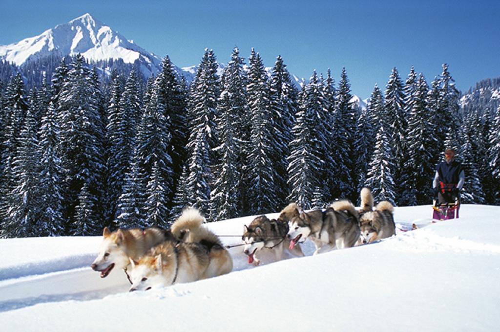 Lodge Alpen Select Kleinwalsertal *
